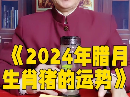 《2024年腊月生肖猪的运势》哔哩哔哩bilibili