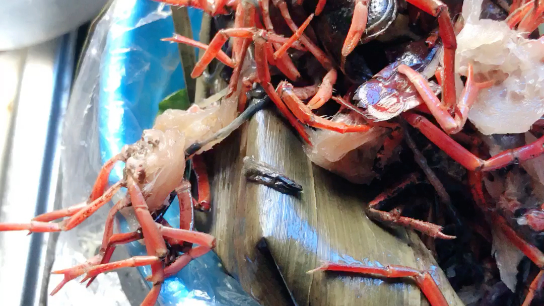 小龙虾的脚,还在动