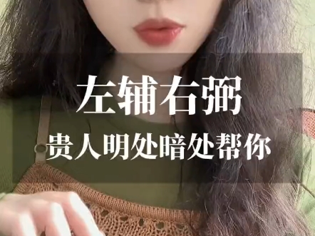 左辅右弼哔哩哔哩bilibili