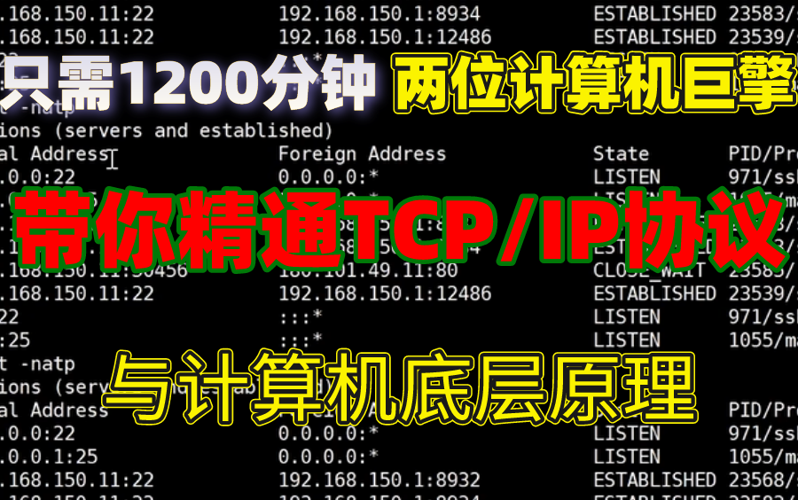 只需1200分钟,两位计算机巨擎带你精通TCP/IP协议、计算机底层原理、Socket通信原理、网络IO、NIO、多路复用、Linux内核、操作系统全套内容 !哔哩...