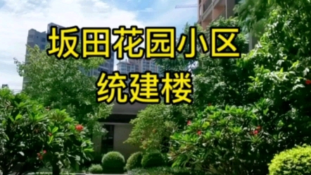 深圳坂田居住品质蕞高的统建楼来了.均价2.3万.哔哩哔哩bilibili