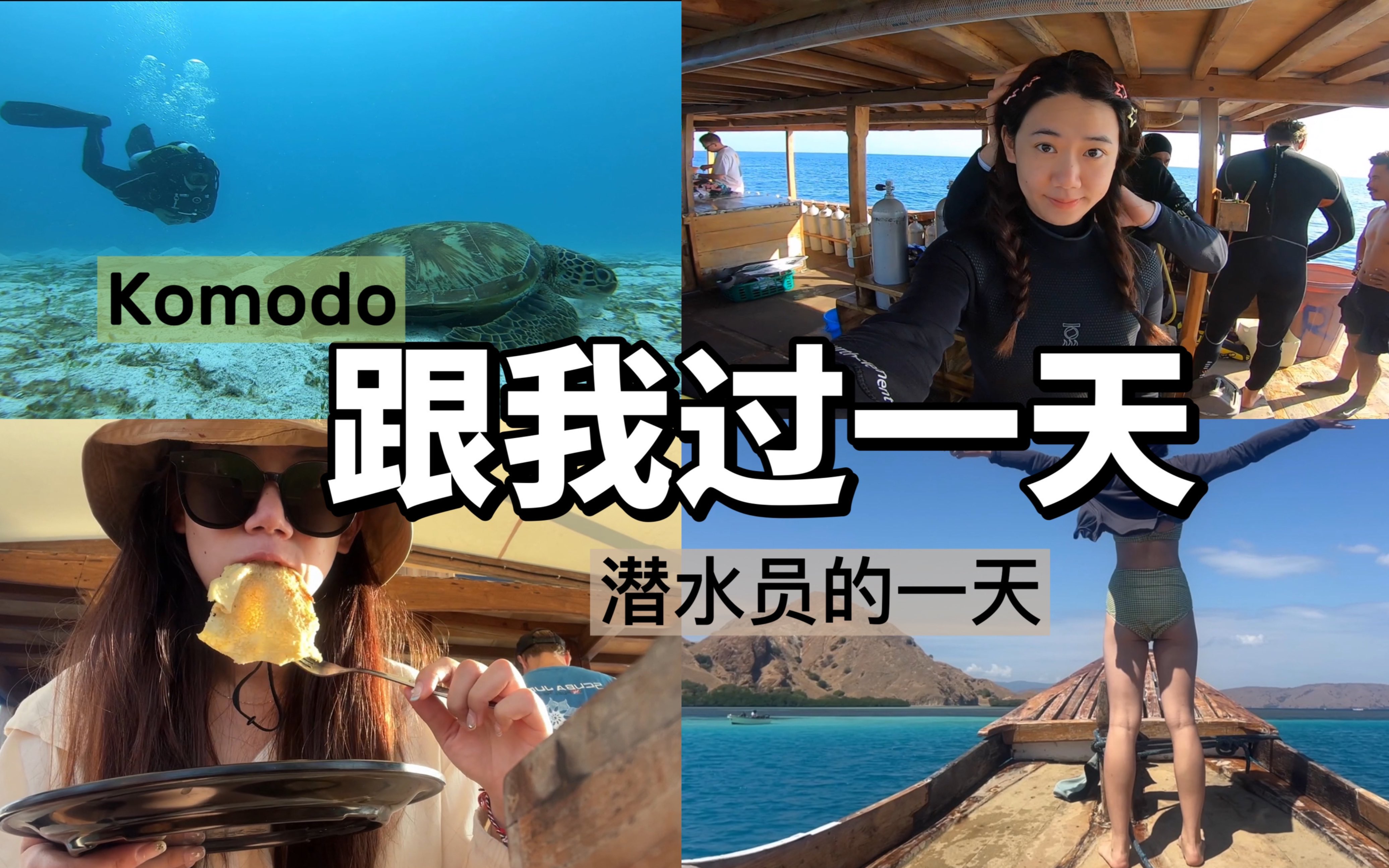 科莫多Komodo潜水VLOG|跟我过一天|感受海底世界的美好哔哩哔哩bilibili