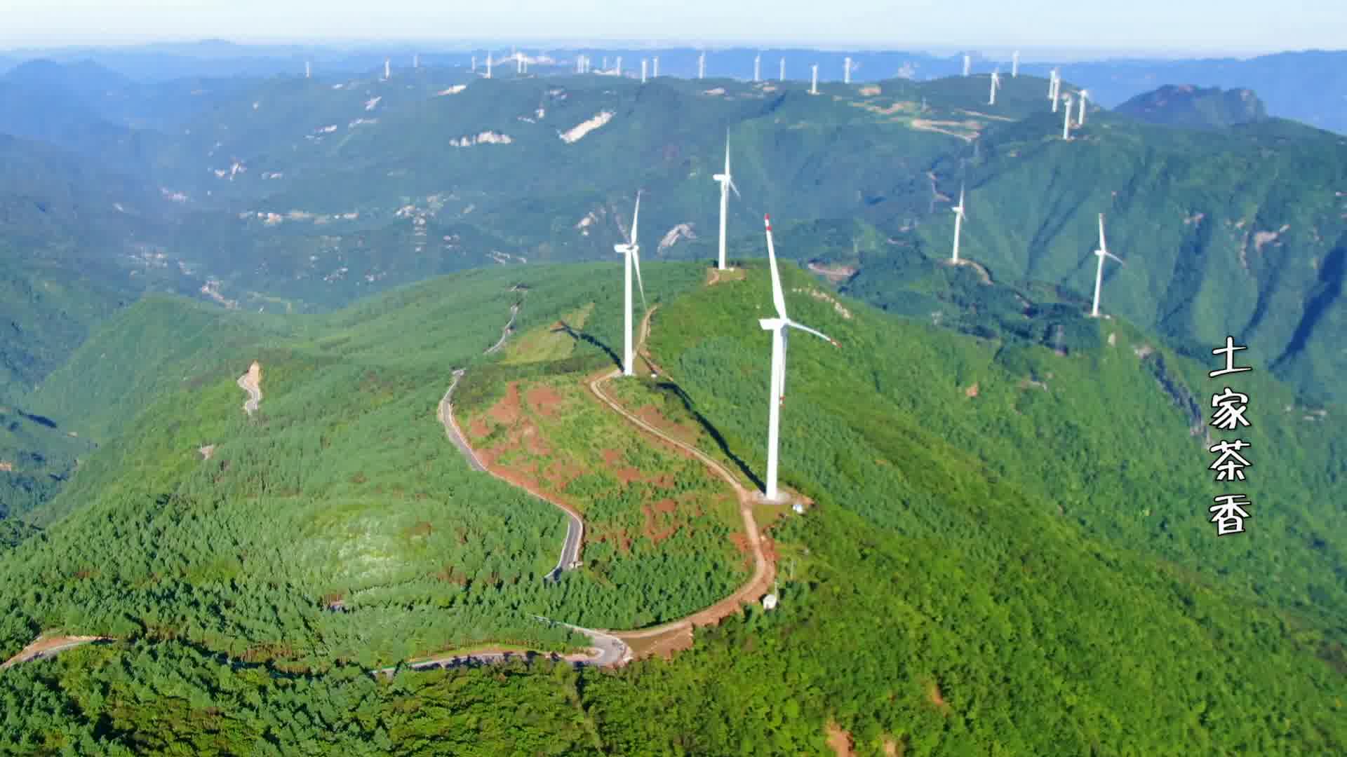 航拍武陵山脉东部最高峰,气势磅礴,是一个绝佳的避暑胜地哔哩哔哩bilibili