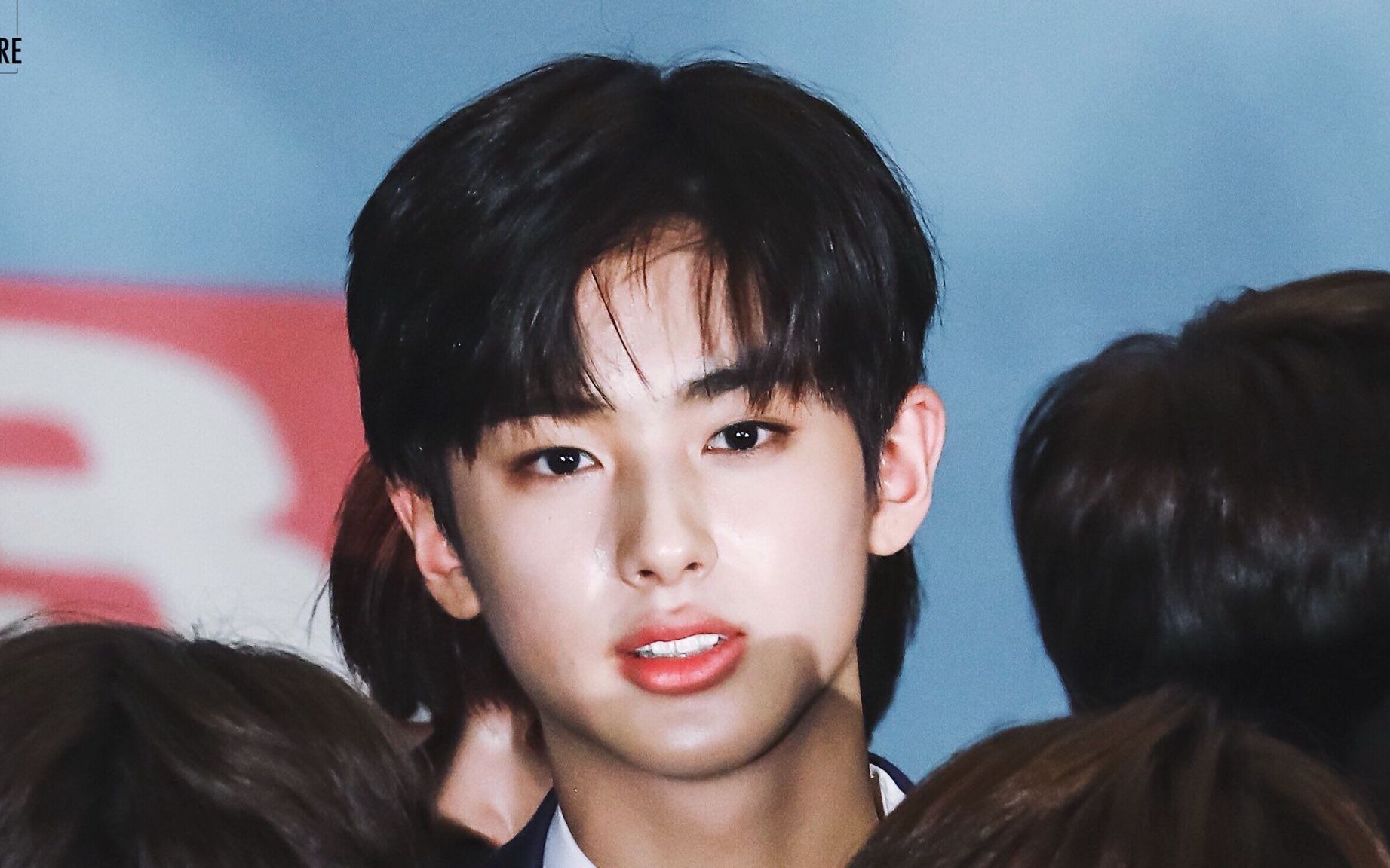 404脸蛋一位安利向金旻奎金敏圭说明书producenim你们pick小奎了吗