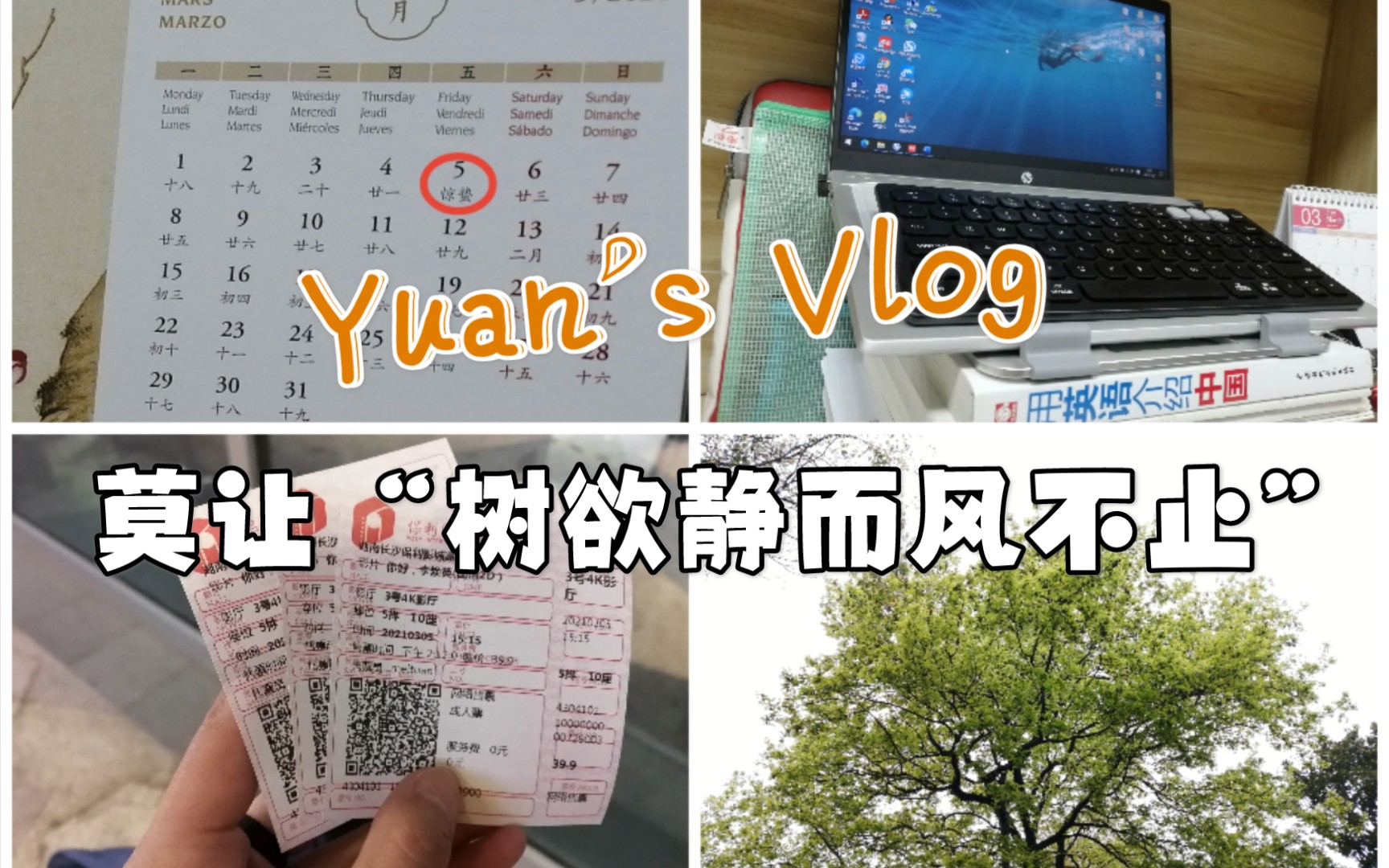 研究生最后一学期在校Vlog:4 | 修国自 写毕业论文 看《你好,李焕英》哔哩哔哩bilibili