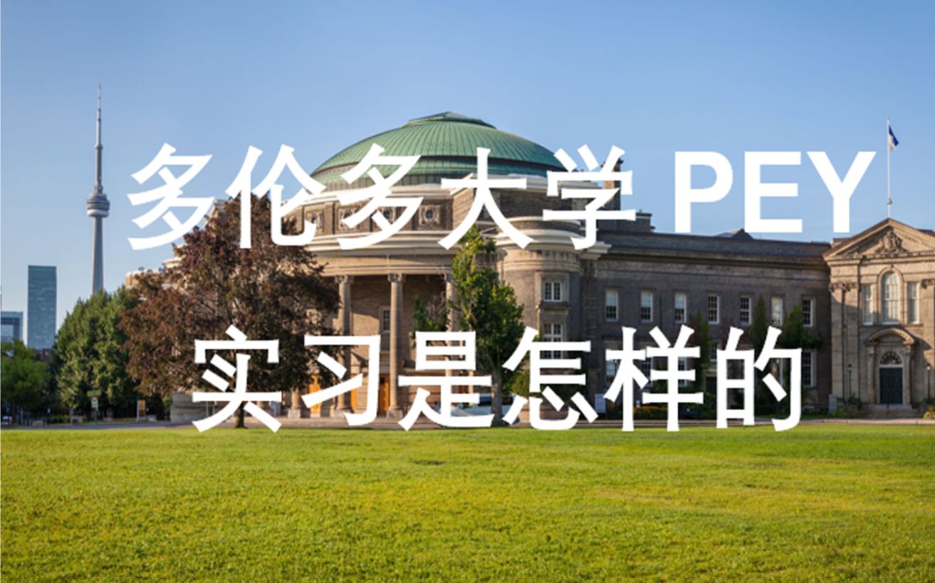 多伦多大学PEY实习的一天哔哩哔哩bilibili