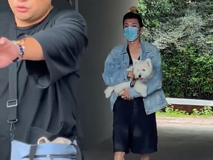 桃花映江山劉學義出妝# 學長好帅狗狗好可愛 叫什麽名字