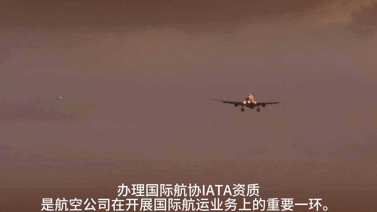 IATA资质如何办理哔哩哔哩bilibili