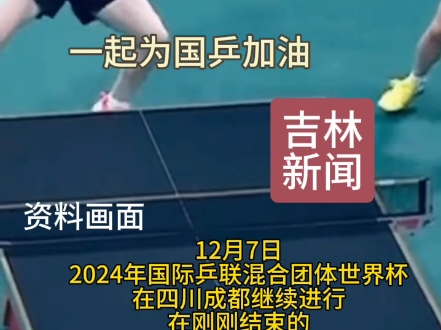 成都混合团体世界杯第二阶段循环比赛一场比拼中!国乒8:0战胜法国队!莎头组合横扫法国选手多尔扎里夫!国乒成都混双开赛取得八连胜!哔哩哔哩bilibili