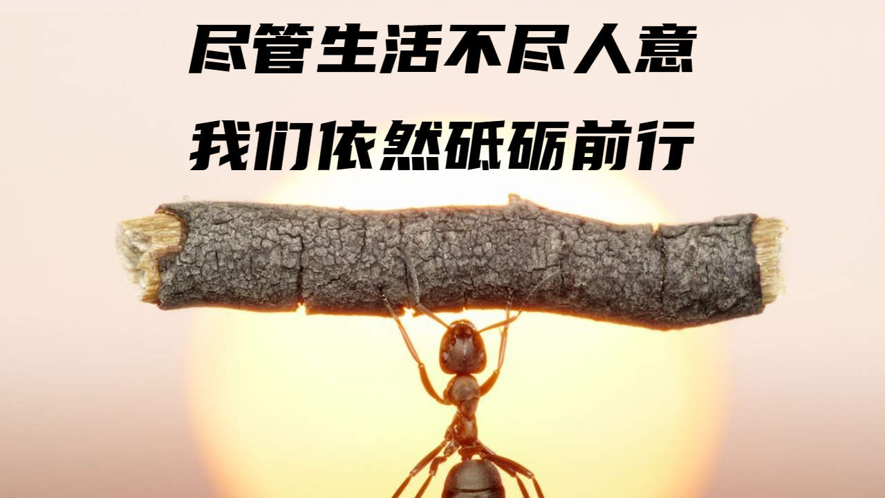 尽管生活不尽人意,我们依然砥砺前行