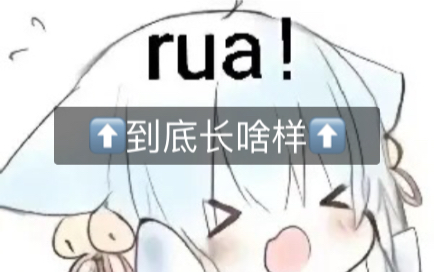 三傻rua佬长啥样