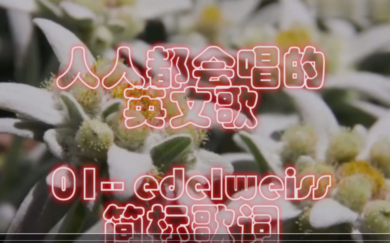 [图]人人都能学会的英文歌01- Edelweiss（简标歌词）