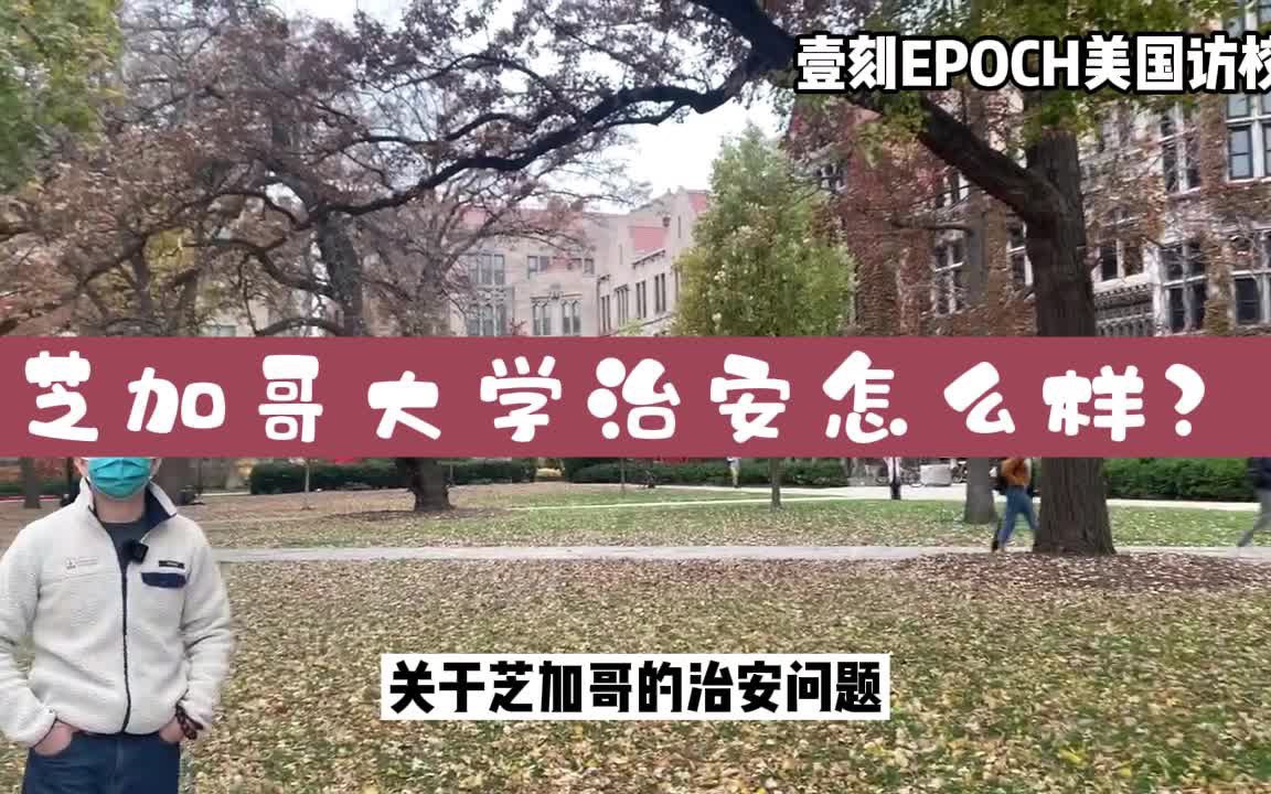 芝加哥大学治安怎么样?哔哩哔哩bilibili