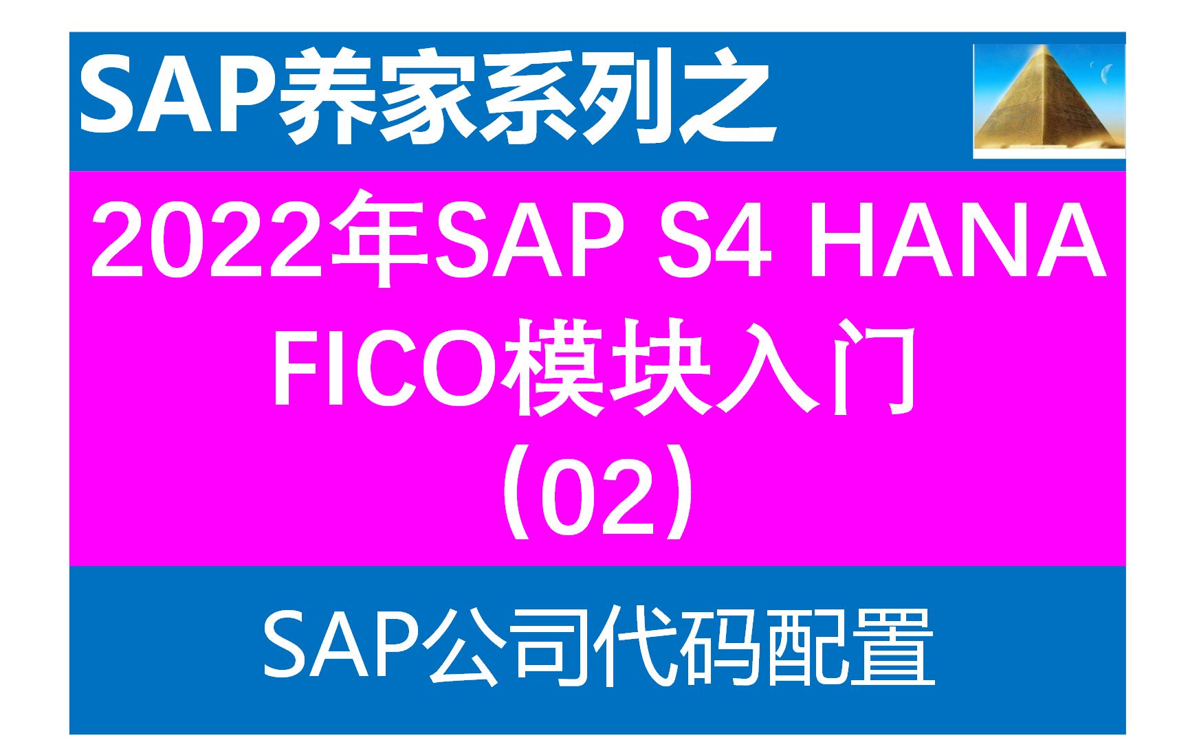 2022年S4 HANA FICO02公司代码配置 SAP FICO SAP ABAP SAP MM SAP入门 SAP学习 SAP顾问哔哩哔哩bilibili