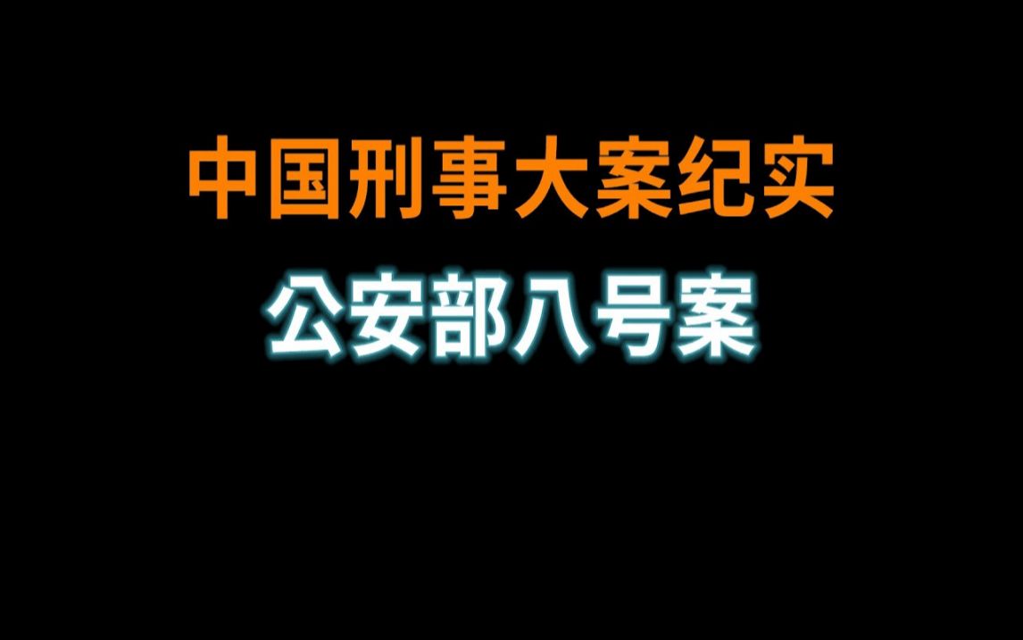 公安部八号案  中国刑事大案纪实  刑事案件要案记录哔哩哔哩bilibili