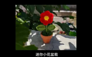 Descargar video: 迷你小花盆栽钩织教程（一）