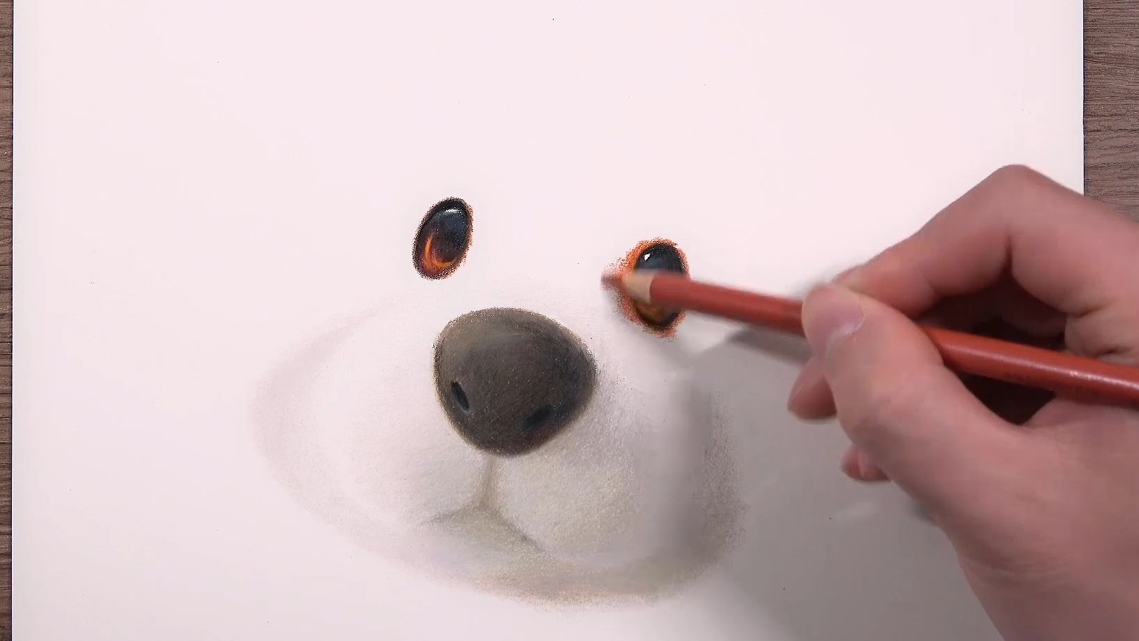 彩铅画一只狗子