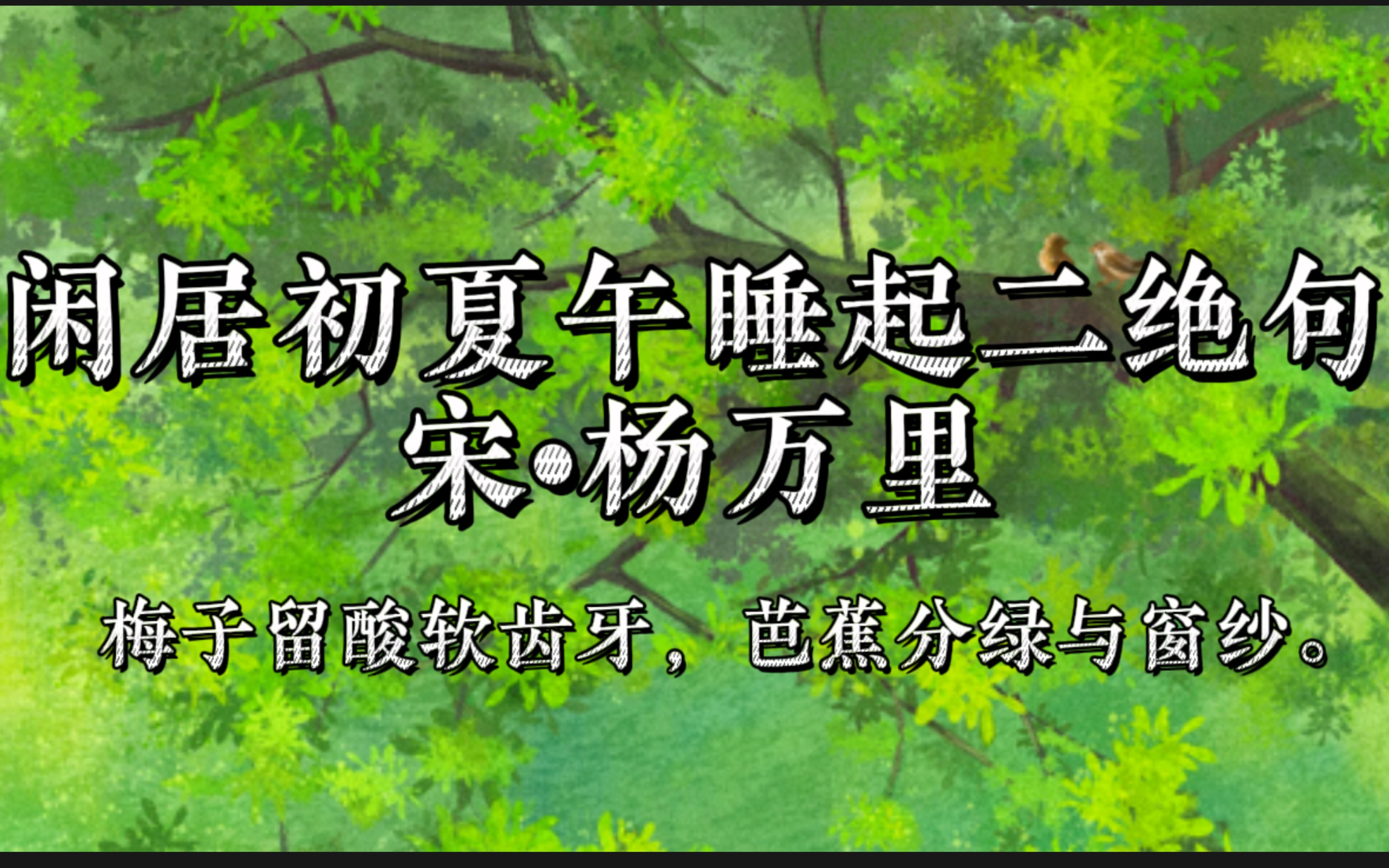 【每天一首诗词】杨万里清新闲适绝句,初夏时节,午睡起来,偶见美景.