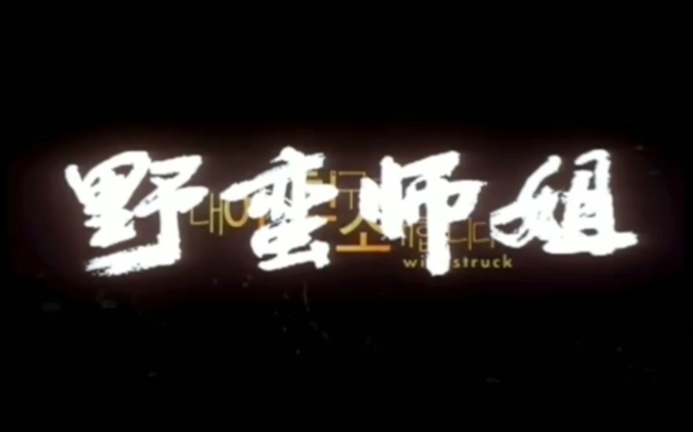 《野蛮师姐》重剪.哔哩哔哩bilibili