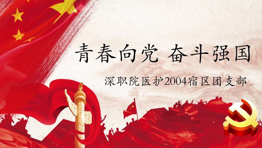 深职院医护2004宿区团支部主题团日活动青春向党奋斗强国