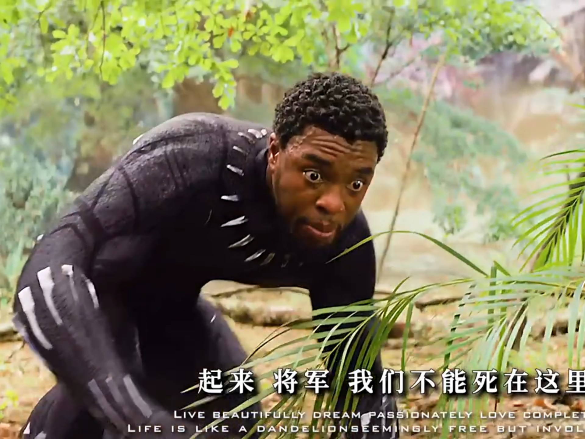 黑豹瓦坎达永远的王