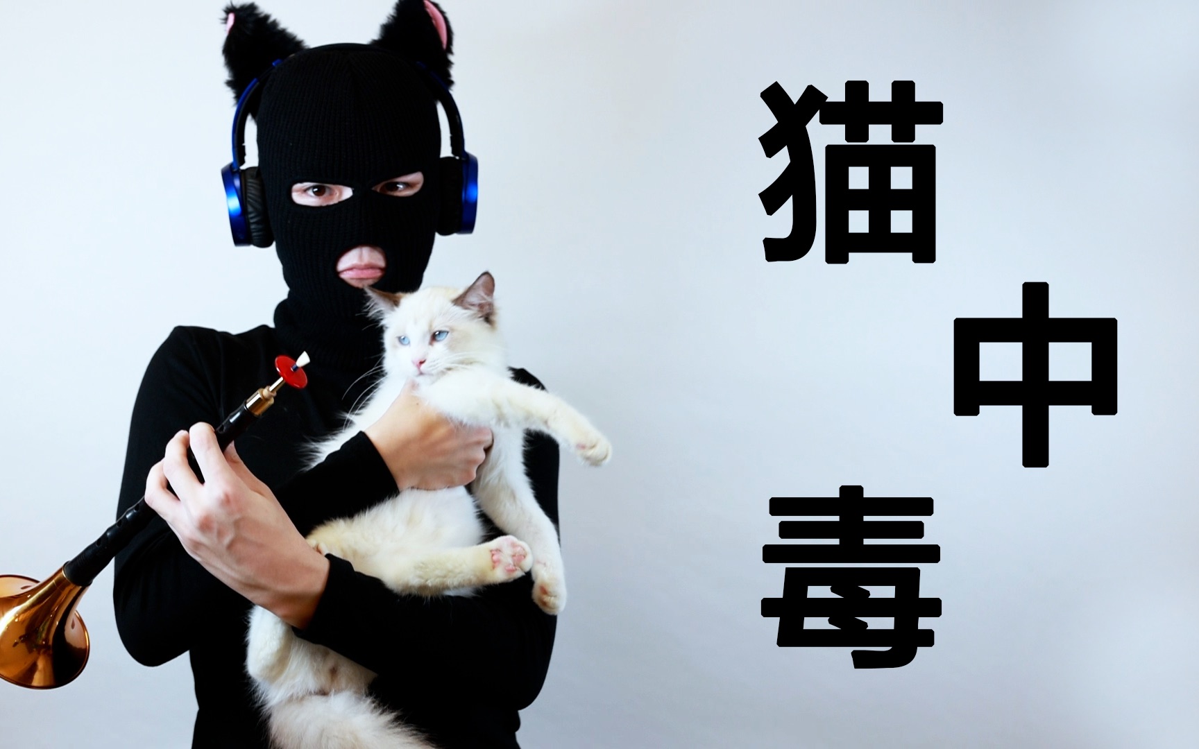 [图]【唢呐】猫中毒