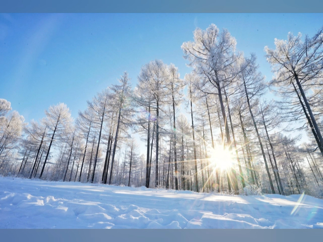 东北最美的雪乡图片图片