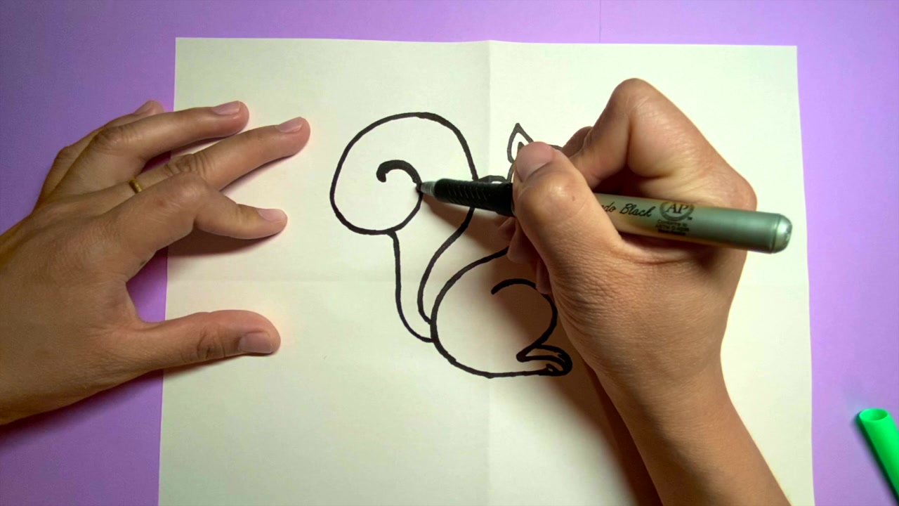 儿童简笔画//动物篇松鼠//Kids drawing//how to draw a squirrel哔哩哔哩bilibili