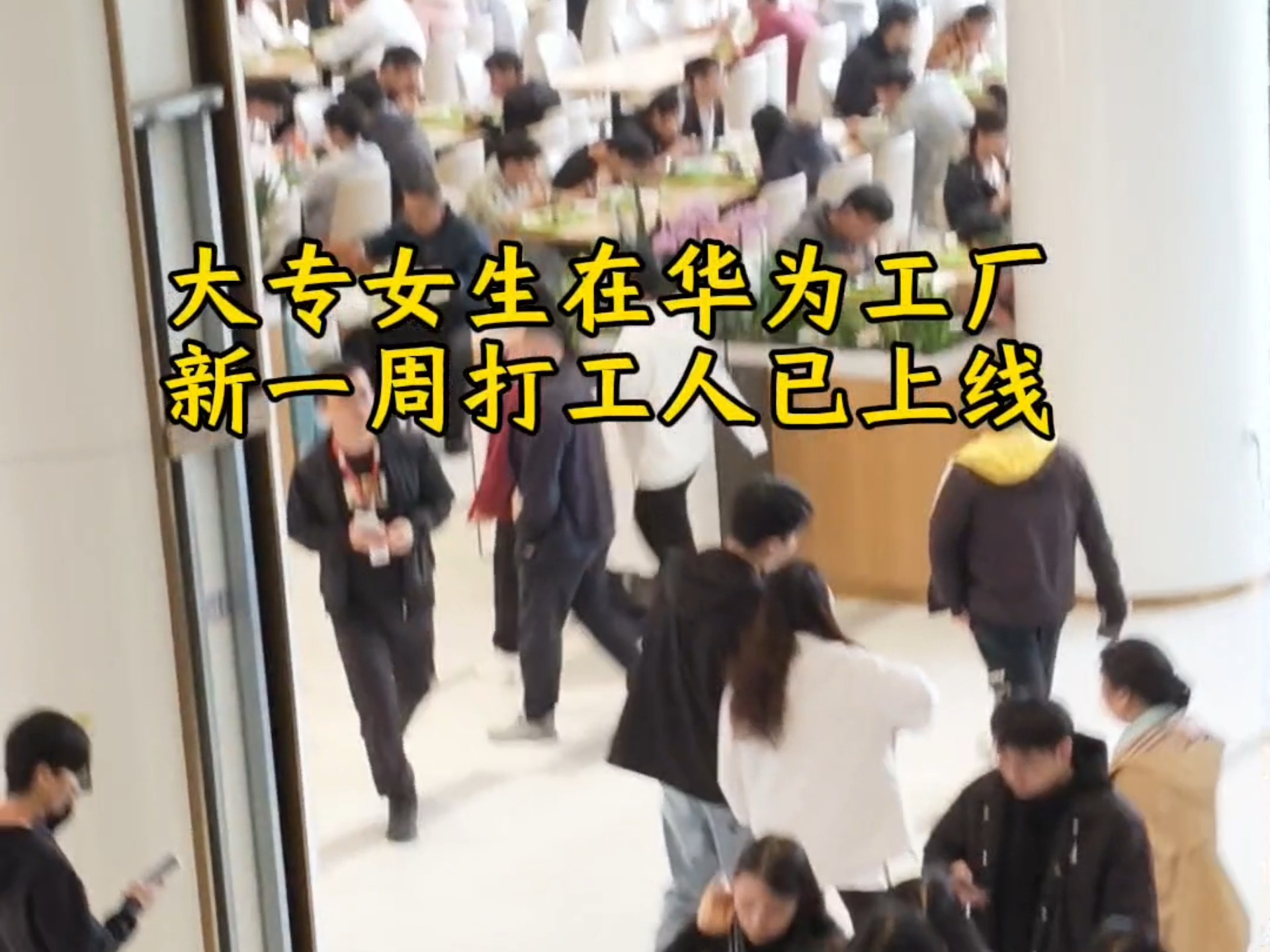 适合女生的厂子(比较适合女生的厂)