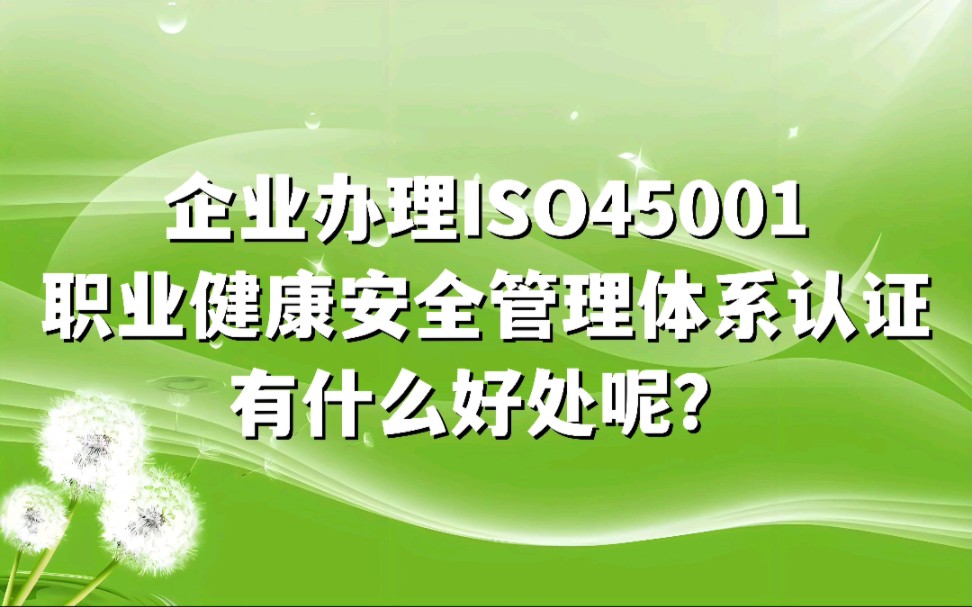 企业办理ISO45001职业健康安全管理体系认证有什么好处呢?#ISO45001认证 #职业健康安全管理体系认证 #ISO体系认证代办理哔哩哔哩bilibili