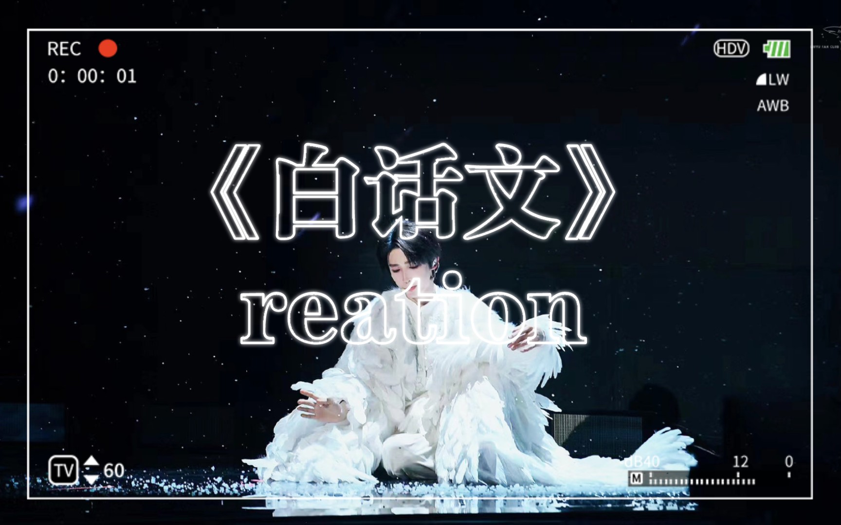 《白话文》reation哔哩哔哩bilibili