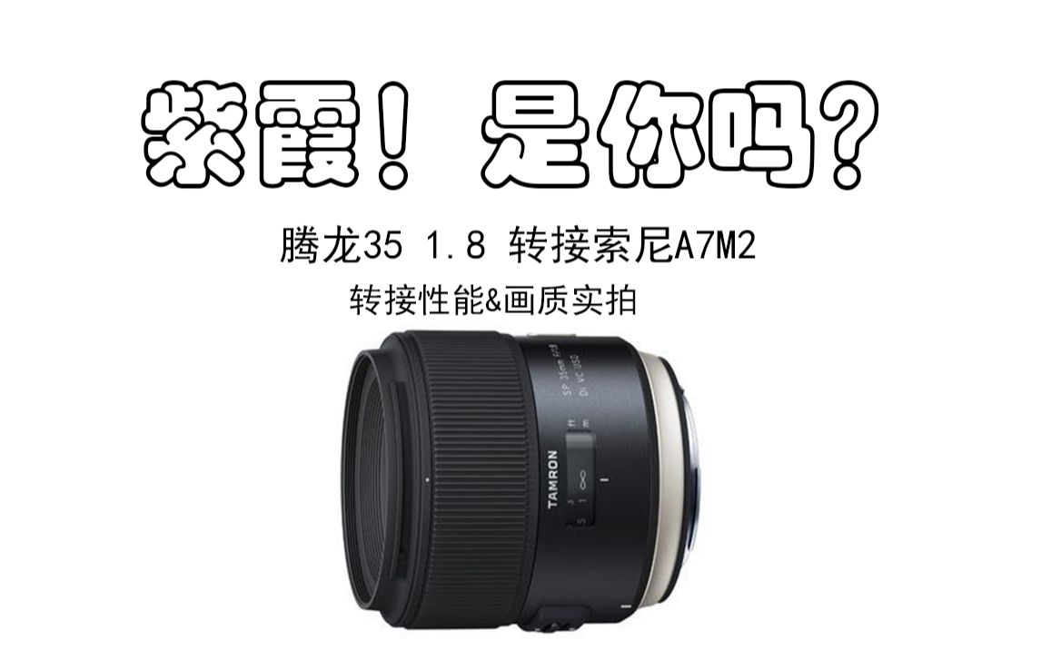 腾龙tamron3518转接索尼a7m2对焦性能画质测试