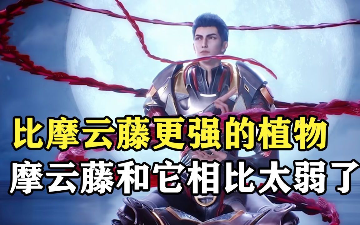 吞噬星空:有比摩云藤更强的植物,摩云藤在它面前不值一提!