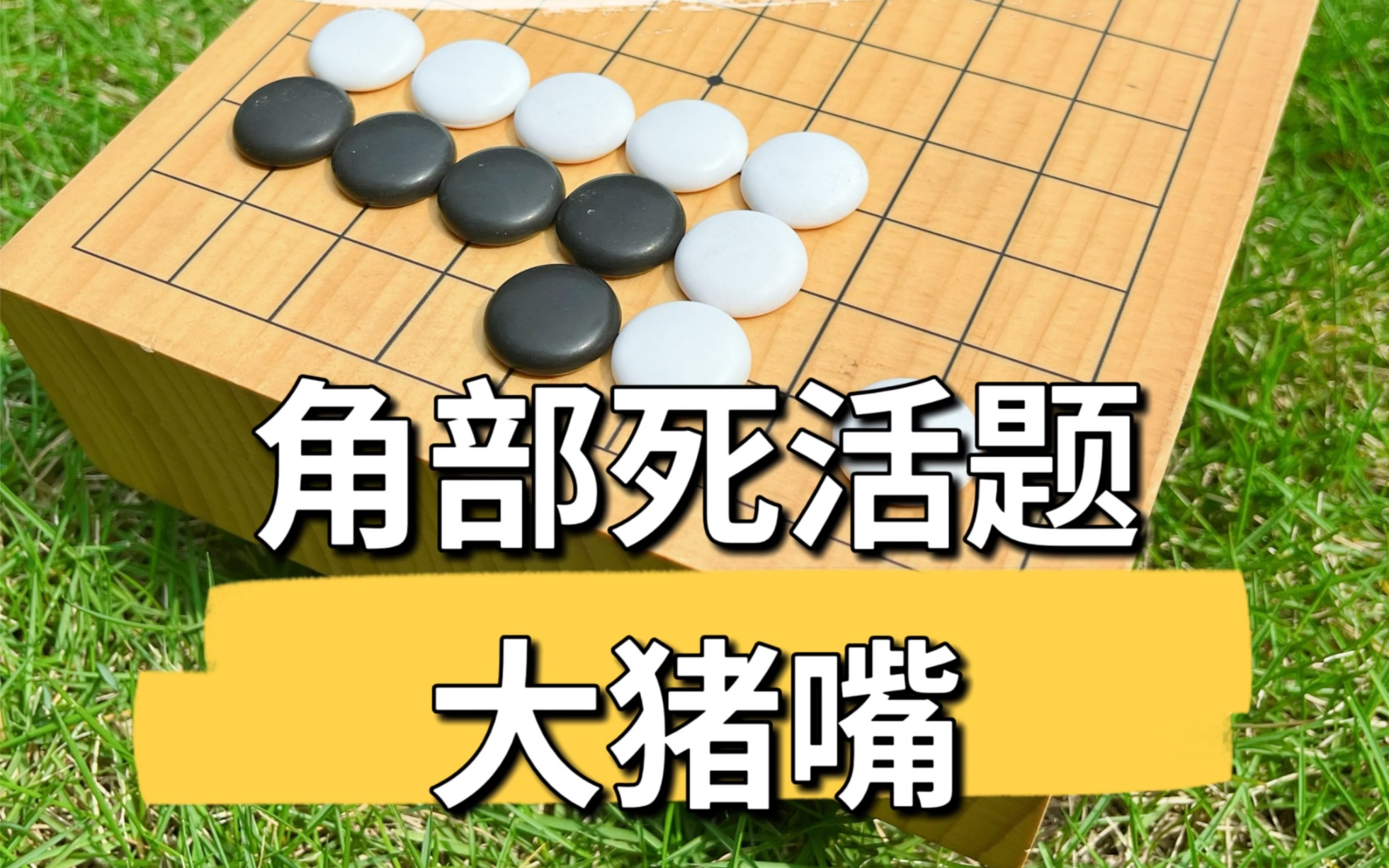 围棋死活题 大猪嘴