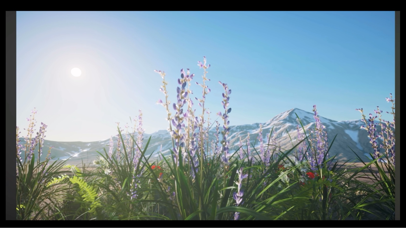 【治愈心灵】【自然之美】【视觉盛宴】远离尘世的喧嚣,用心感受大