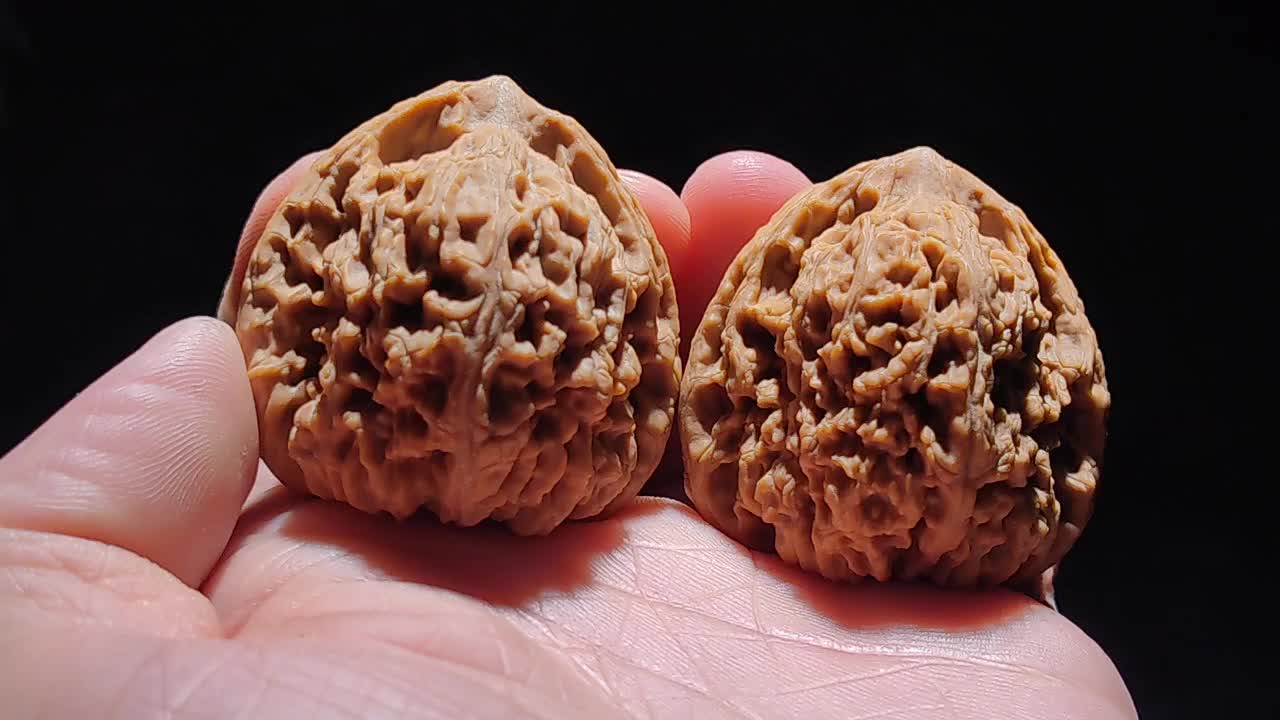 南疆石文玩核桃!全品无修!正炮小凹底菱形!菊花底!桩型正!配对好!