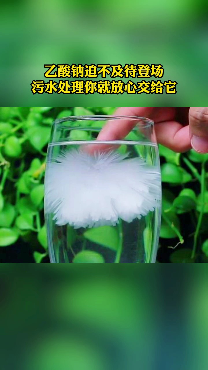 乙酸钠在污水处理时主要发挥什么样的作用?哔哩哔哩bilibili