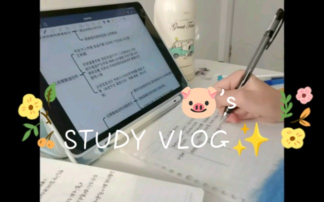 study vlog2/寒假学习记录存档/前二十天摆烂+看专业课,背单词/所以现在才会痛苦的写论文初稿/还有九天就要交终版,我不发疯谁发疯!!哔哩哔哩bilibili