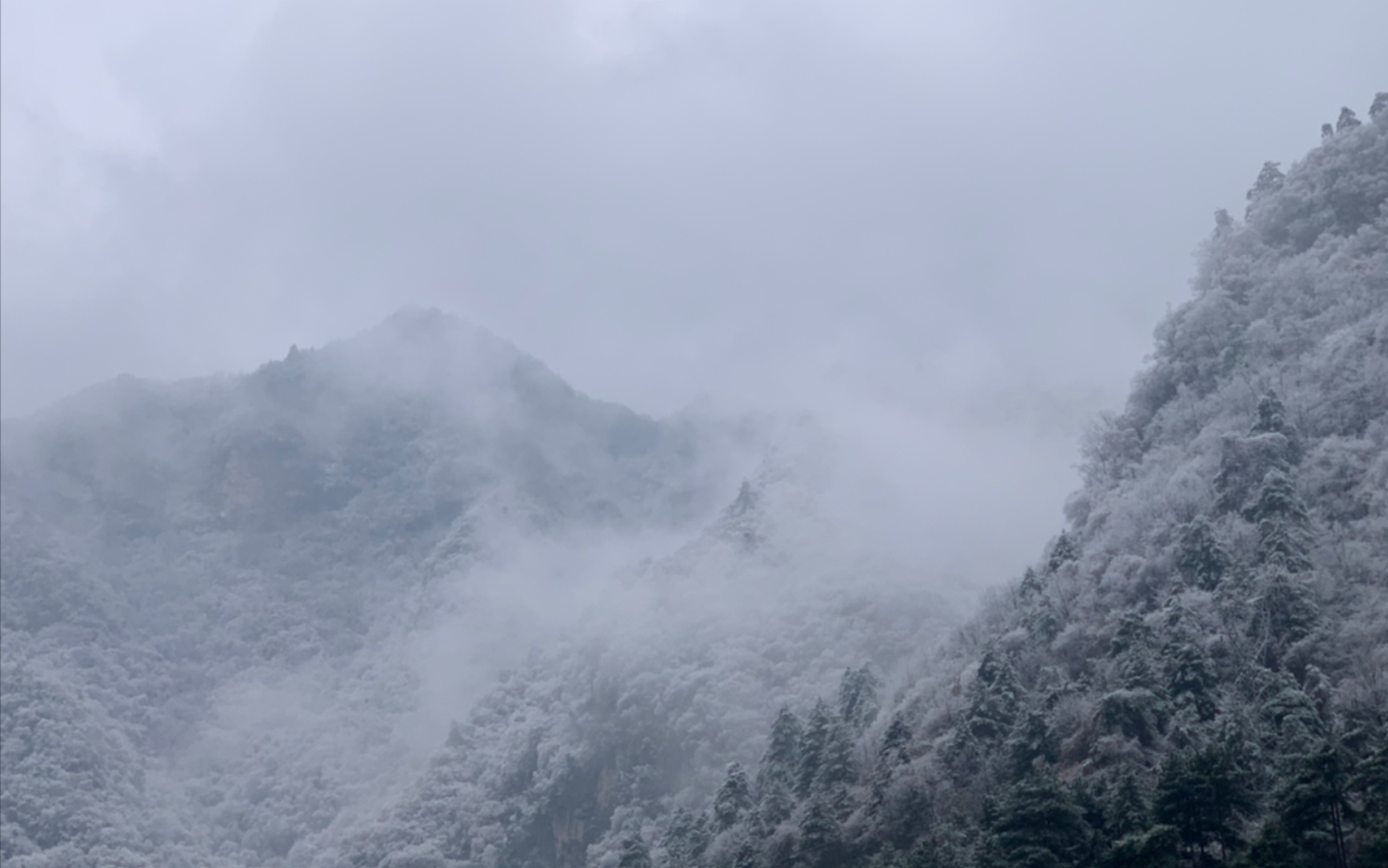 [图]秦巴山岭雪，佛坪倒春寒