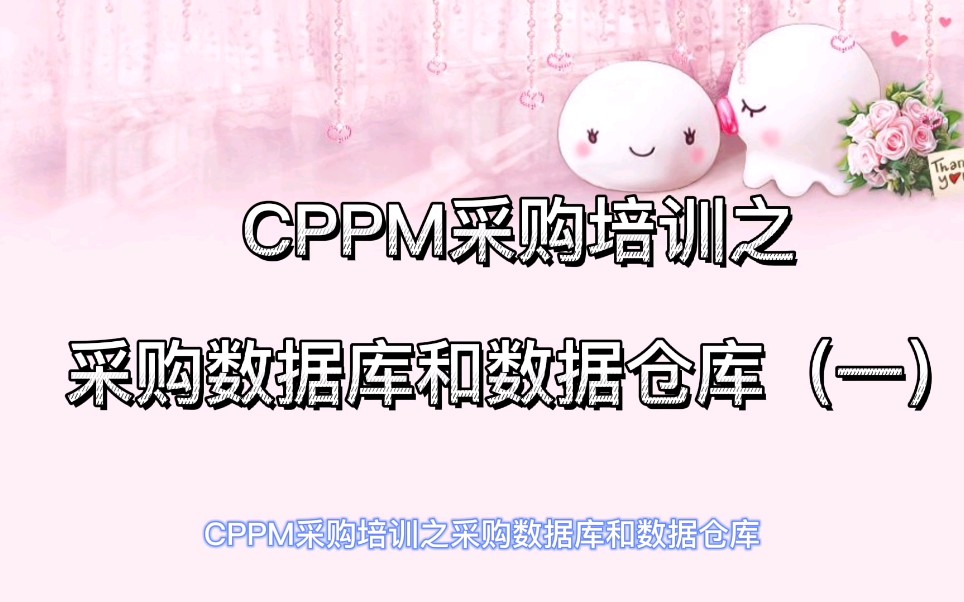 CPPM采购课程之采购数据库和数据仓库(一)哔哩哔哩bilibili