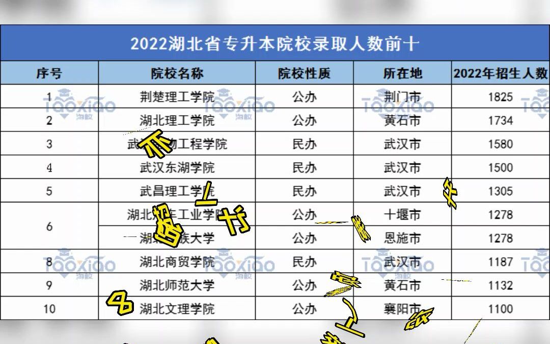 2022年湖北专升本录取人数前十院校榜单哔哩哔哩bilibili