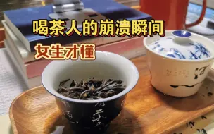 Download Video: 喝茶人的崩溃瞬间，懂的都懂