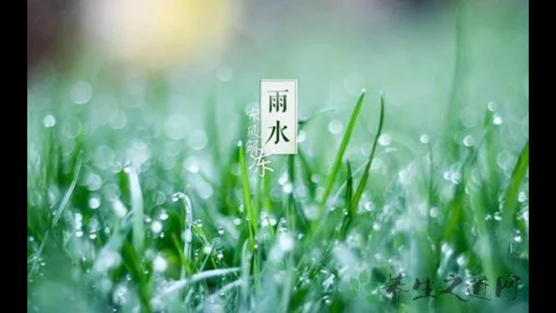 雨露甘霖哔哩哔哩bilibili