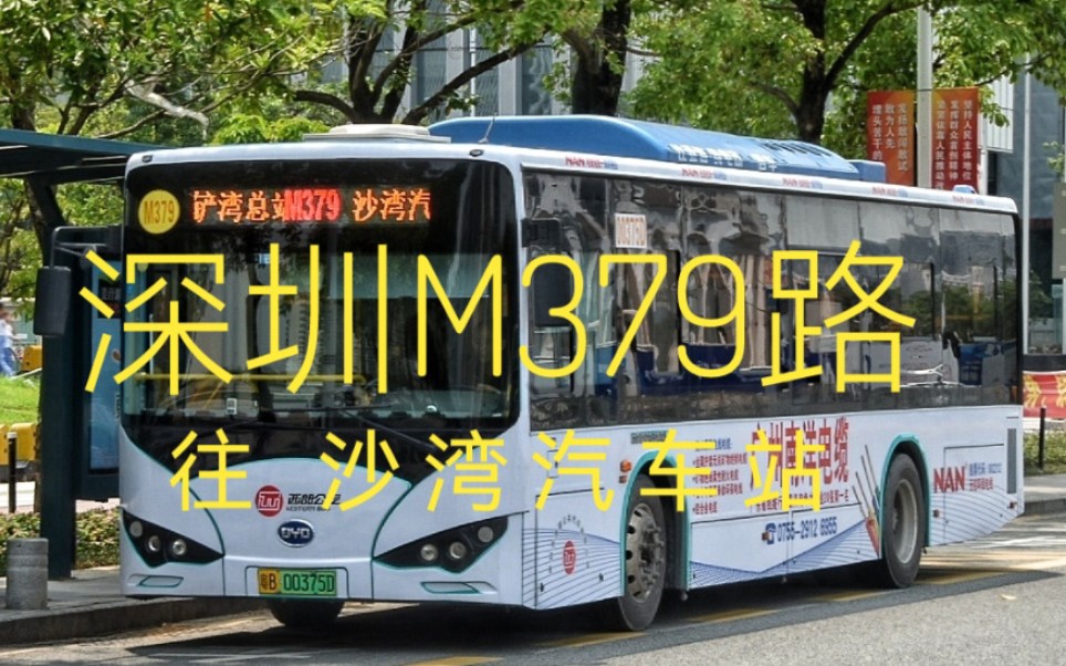 【深圳公交pov 10】深圳m379路【前程滨海花园总站—沙湾汽车站】