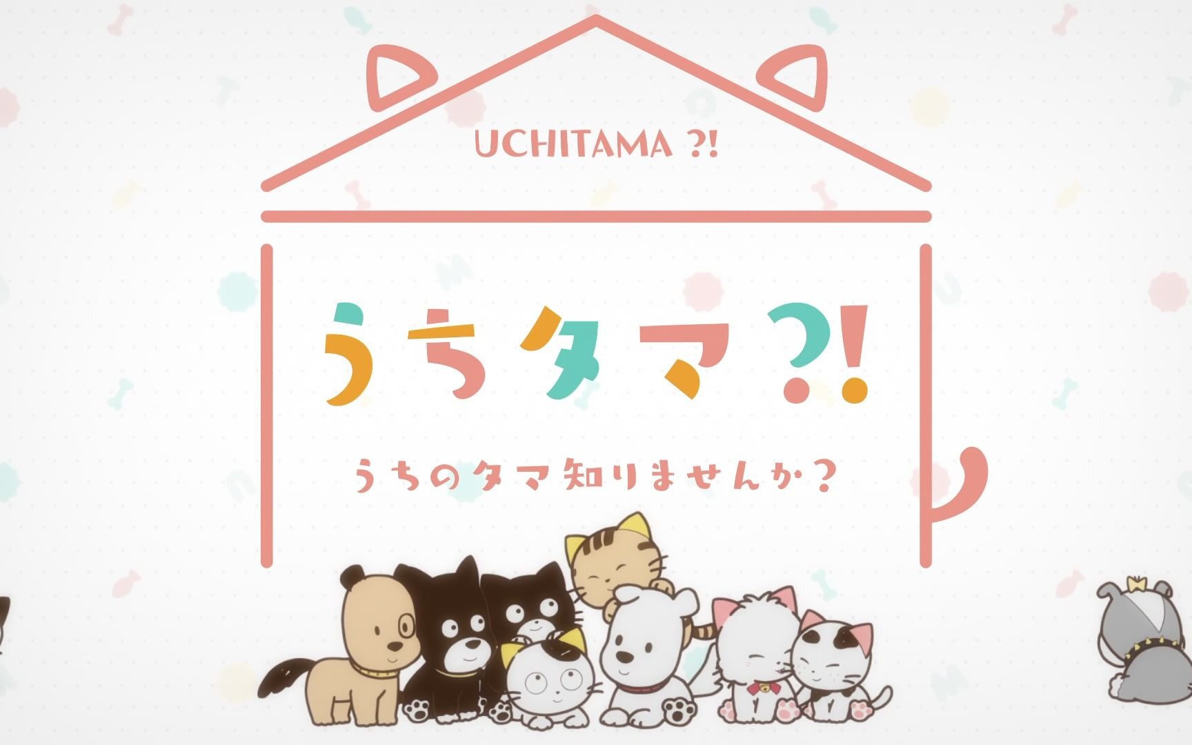 【1080p /bd】uchitama?～猫狗宠物街～ncop/ed