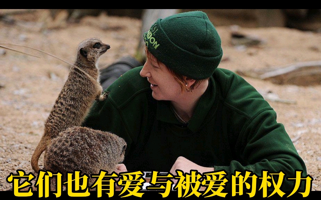 动物也有爱与被爱的权力@太阳升起0
