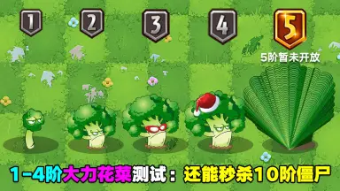 大场花菜-哔哩哔哩_Bilibili
