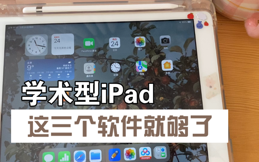 法学生iPad使用心得/三个软件足以打造学术型iPad/Notability笔记心得分享哔哩哔哩bilibili