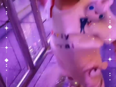 站桩_哔站_站桩的正确姿势