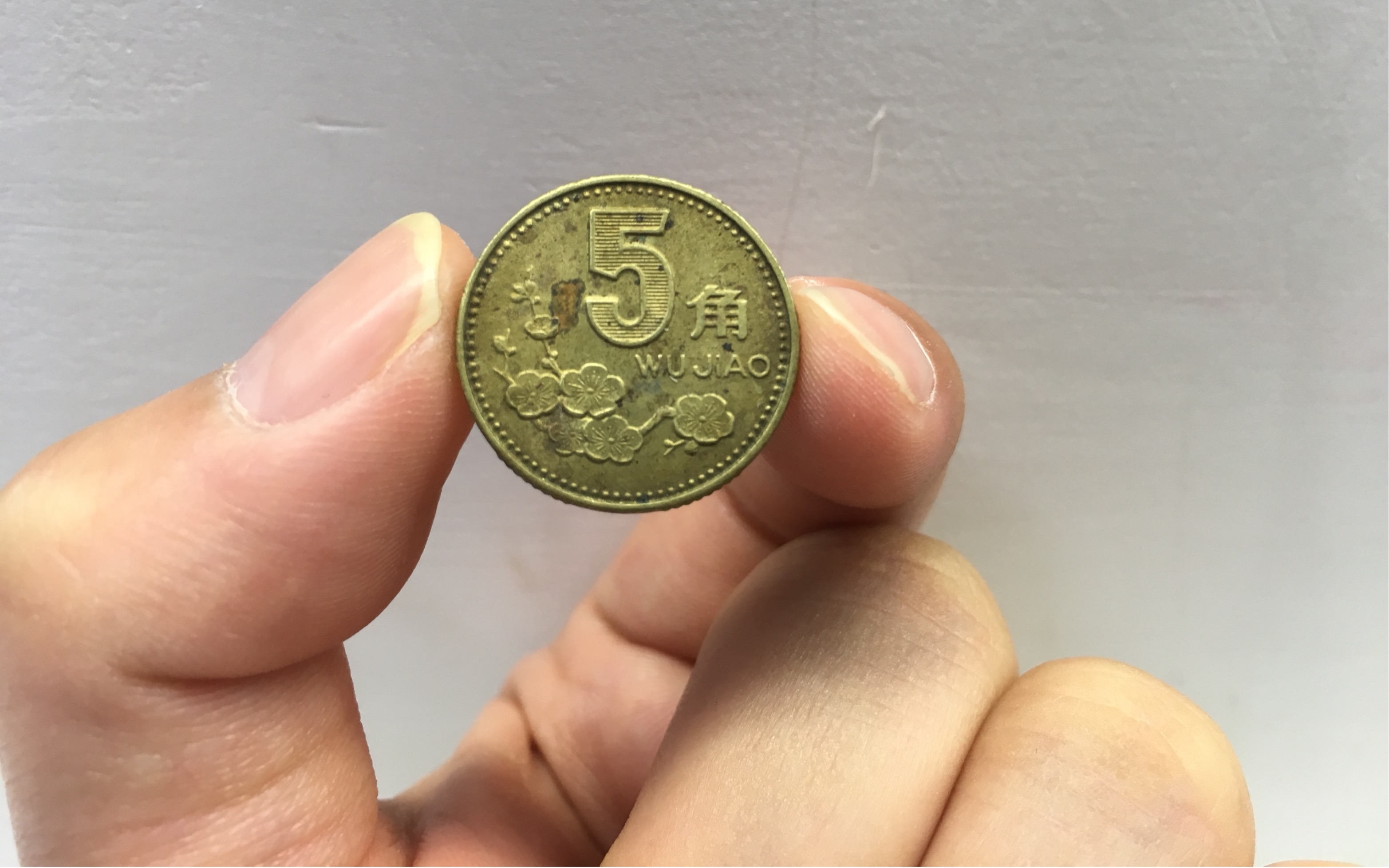 收藏钱币就要多学习,看看1993年的梅花五角硬币的收藏价值如何